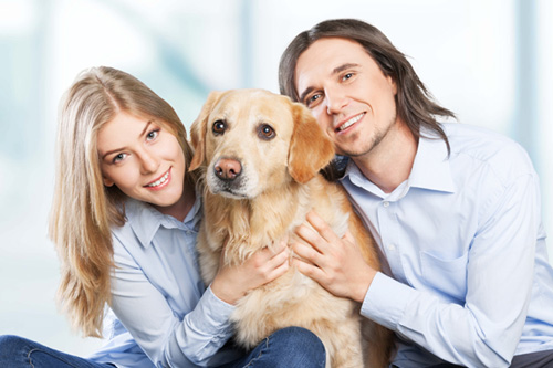 Canine Lymphoma Treatment Cost